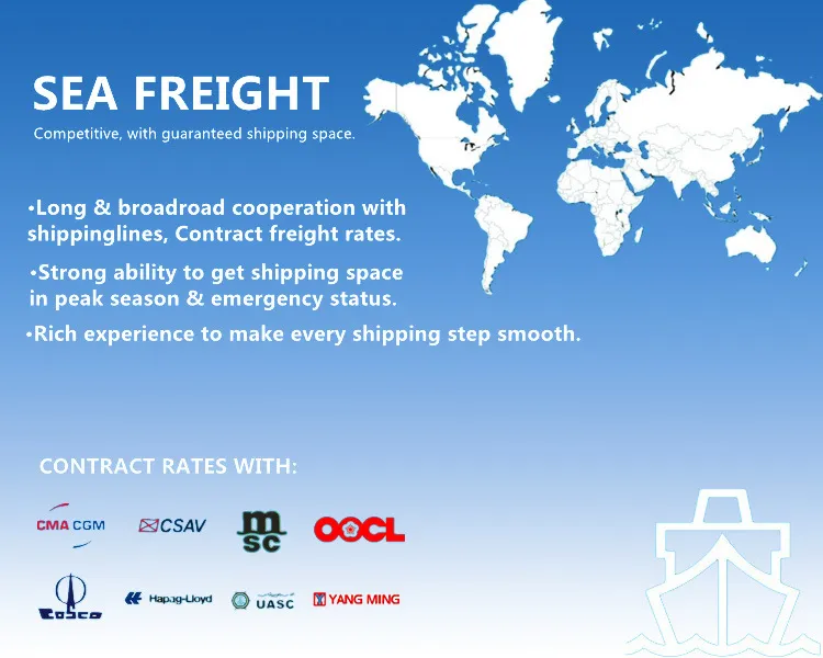 China to USA Amazon Fba Shipping, LCL/FCL Consolidation
