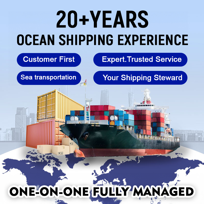 China Shipping Agent/Freight Forwarder Sea Freight FCL From China to NhavaSheva INDIA 20ft 40ft with Insurance & 24/7 Support