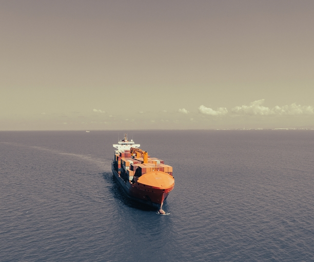 Reliable Sea Freight Forwarding From Shanghai to Algeria