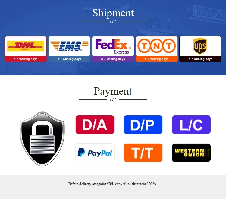 Freight Forwarder Consolidation Shipping Agent China to USA Canada