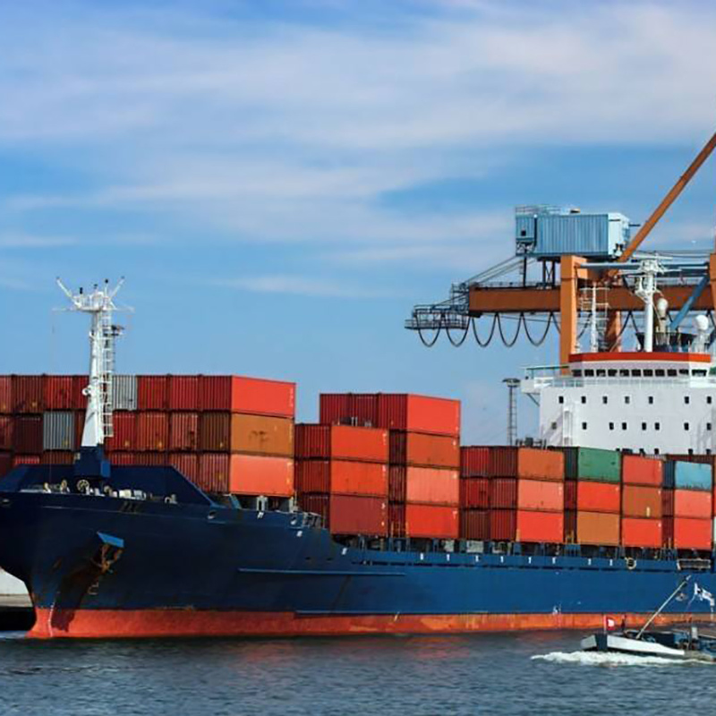 Ocean Freight From Shanghai to Norfolk Port Container Shipping Service Fee