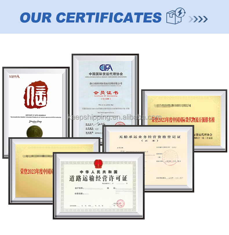 Express Sea Shipping Forwarder