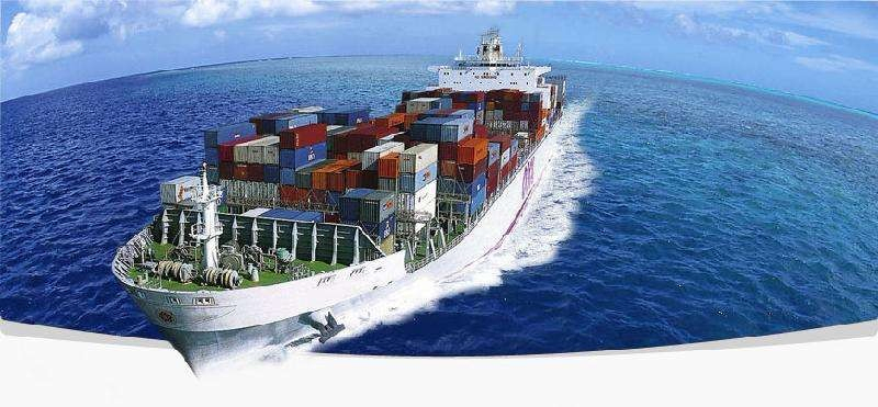 Free Consolidation From China to Worldwide for Express Delivery DDP Dropshipping for Temu Tk