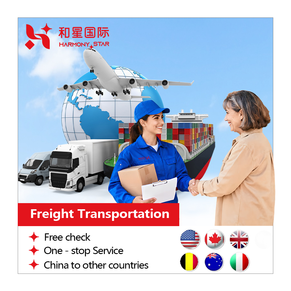 Cost-Effective DDP Sea Shipping Agent | Professional Ocean Freight Forwarder | China to USA Trade