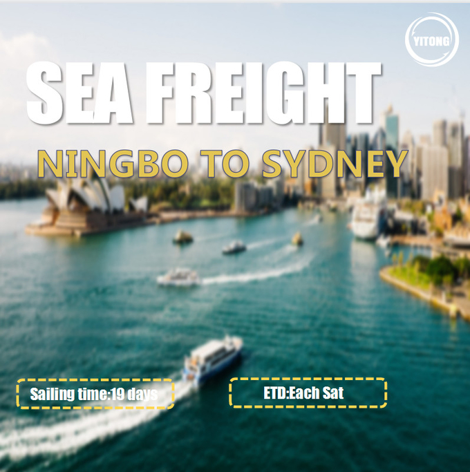 Drop Shipping Freight Forwarder Shipping Agent Shipping Freight From China Shenzhen Shipping Company Sea Freight to Melbourne Freight Forwarder Agent
