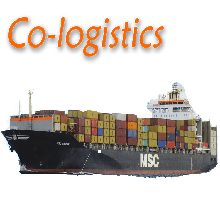 Fast Door to Door Ocean Shipping Agent DDP Delivery Freight Forwarder by Sea From China to Brazil