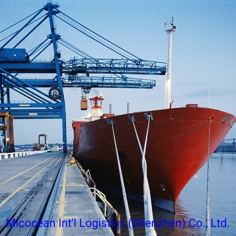 Reliable Ocean FCL Shipping Service From China to Johannesburg/Port Elizabeth, South Africa