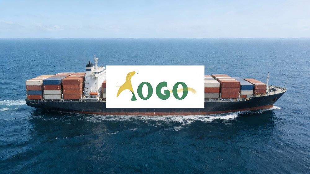 Sea Freight Service