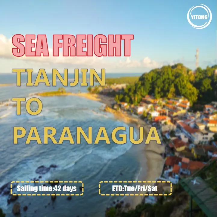 Sea Freight Shipping Image 5