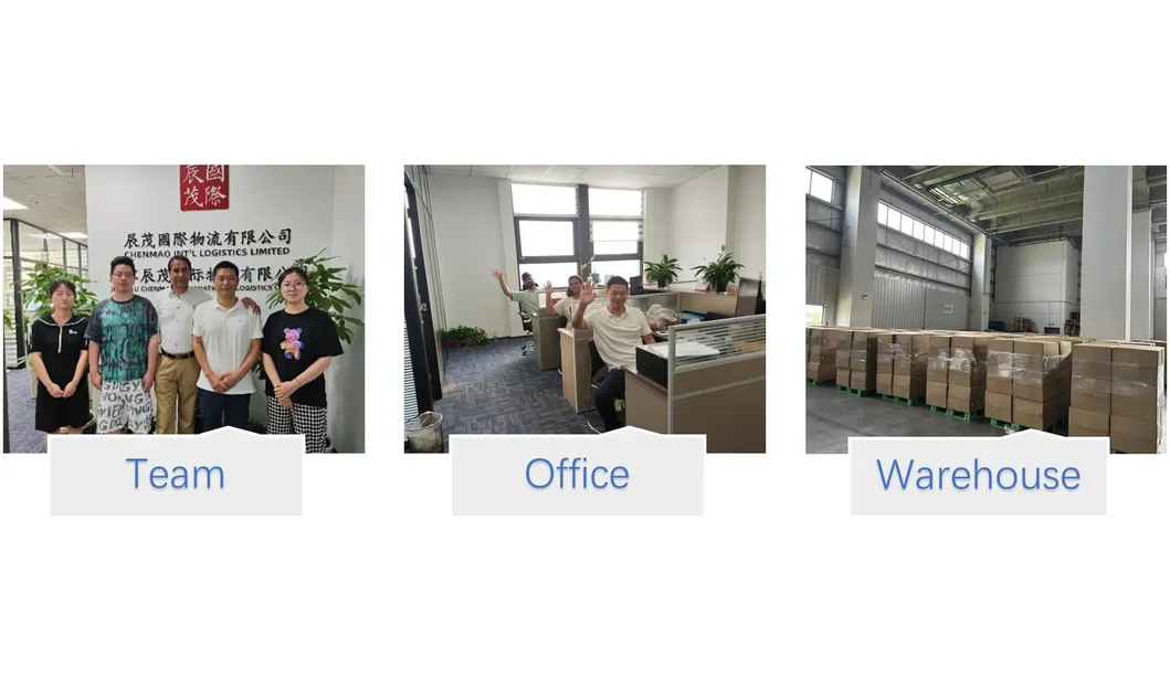 Our Professional Team