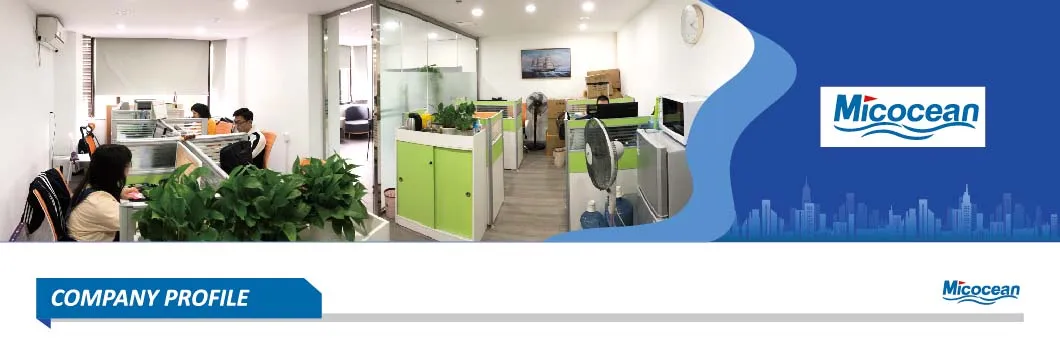 Company Introduction Banner