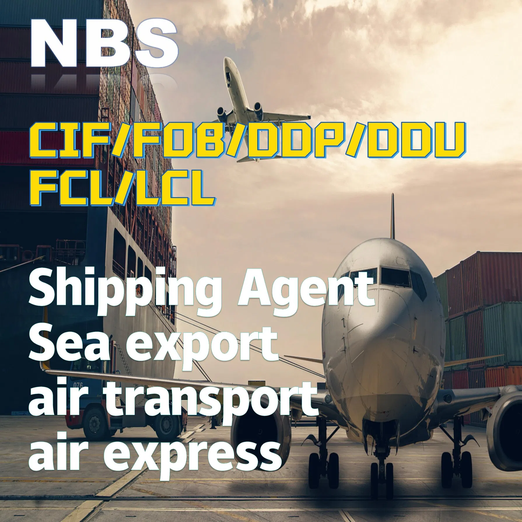 Libya Sea Freight Shipping Services From China/Fob/DDP/DDU to Libya, CIF Servies in China, FCL/LCL Freight Shipping in China to Port of Tripoli/Misurata Port