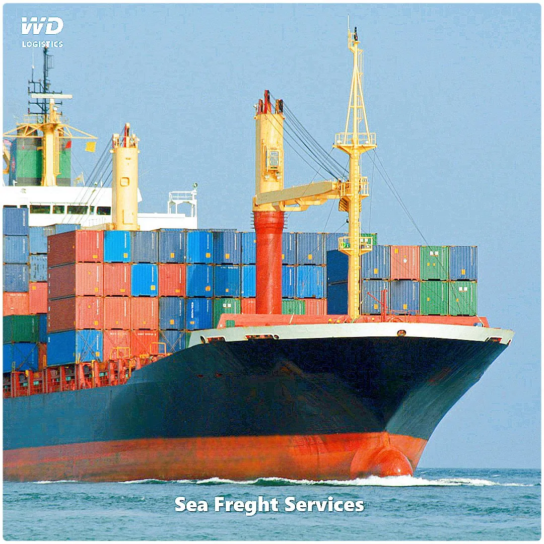 Ocean Express to Djibouti From China LCL Sea Freight Shipping Agent Price Service Shenzhen Guangdong to Port Sudan
