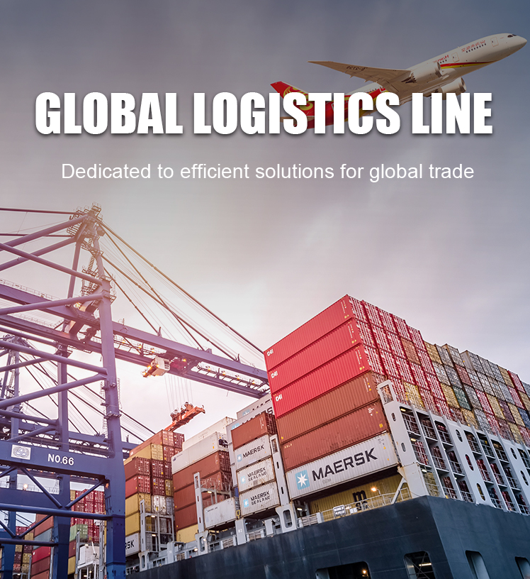 China Shipping Agent/Freight Forwarder Sea Freight FCL From China to NhavaSheva INDIA 20ft 40ft with Insurance & 24/7 Support