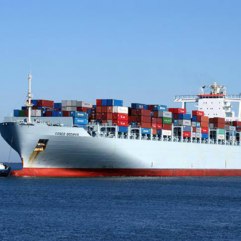 Ocean Freight From Shanghai to Norfolk Port Container Shipping Service Fee