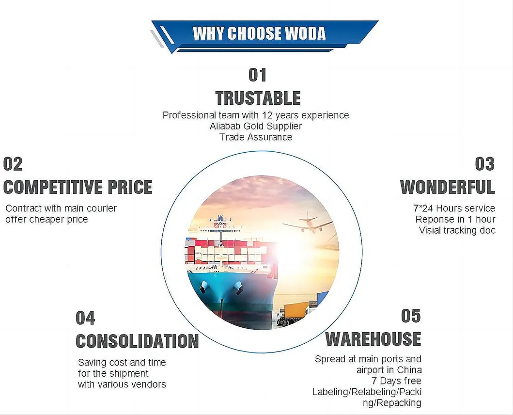 Why Choose Our Logistics Team