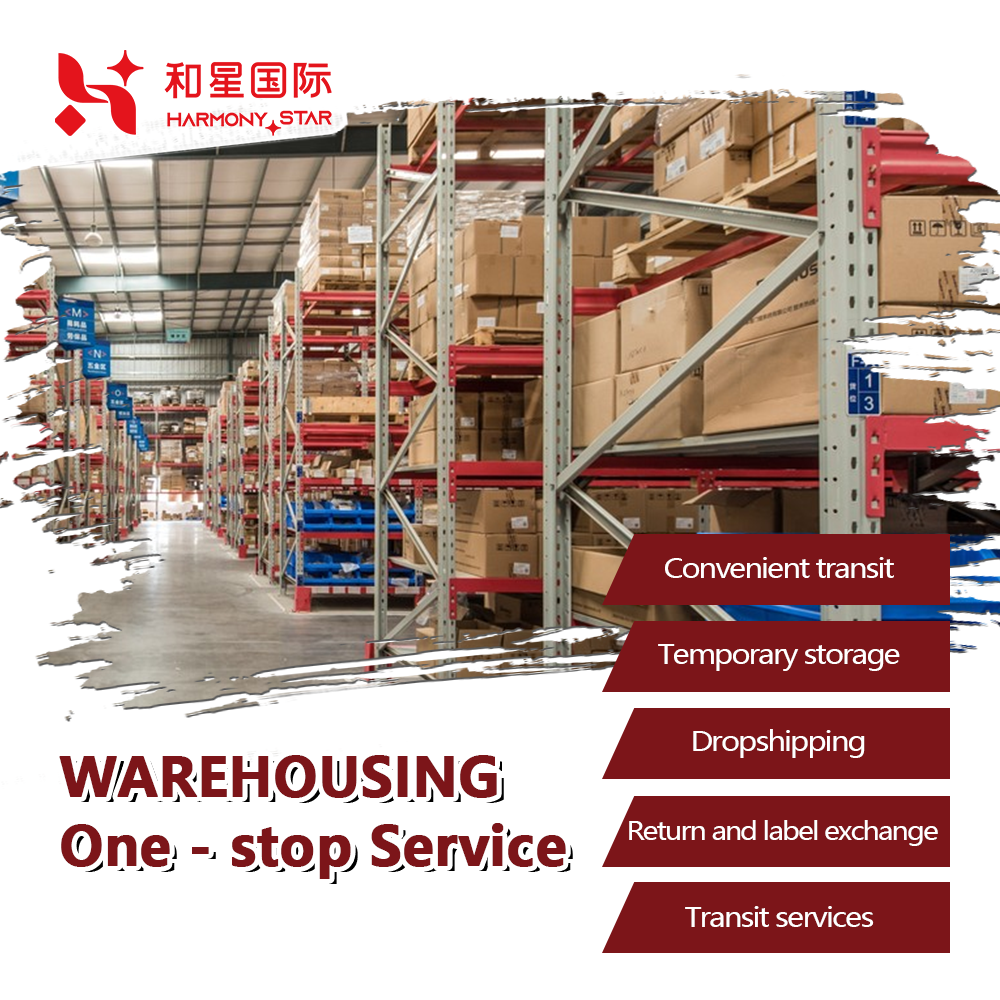 Cost-Effective DDP Sea Shipping Agent | Professional Ocean Freight Forwarder | China to USA Trade