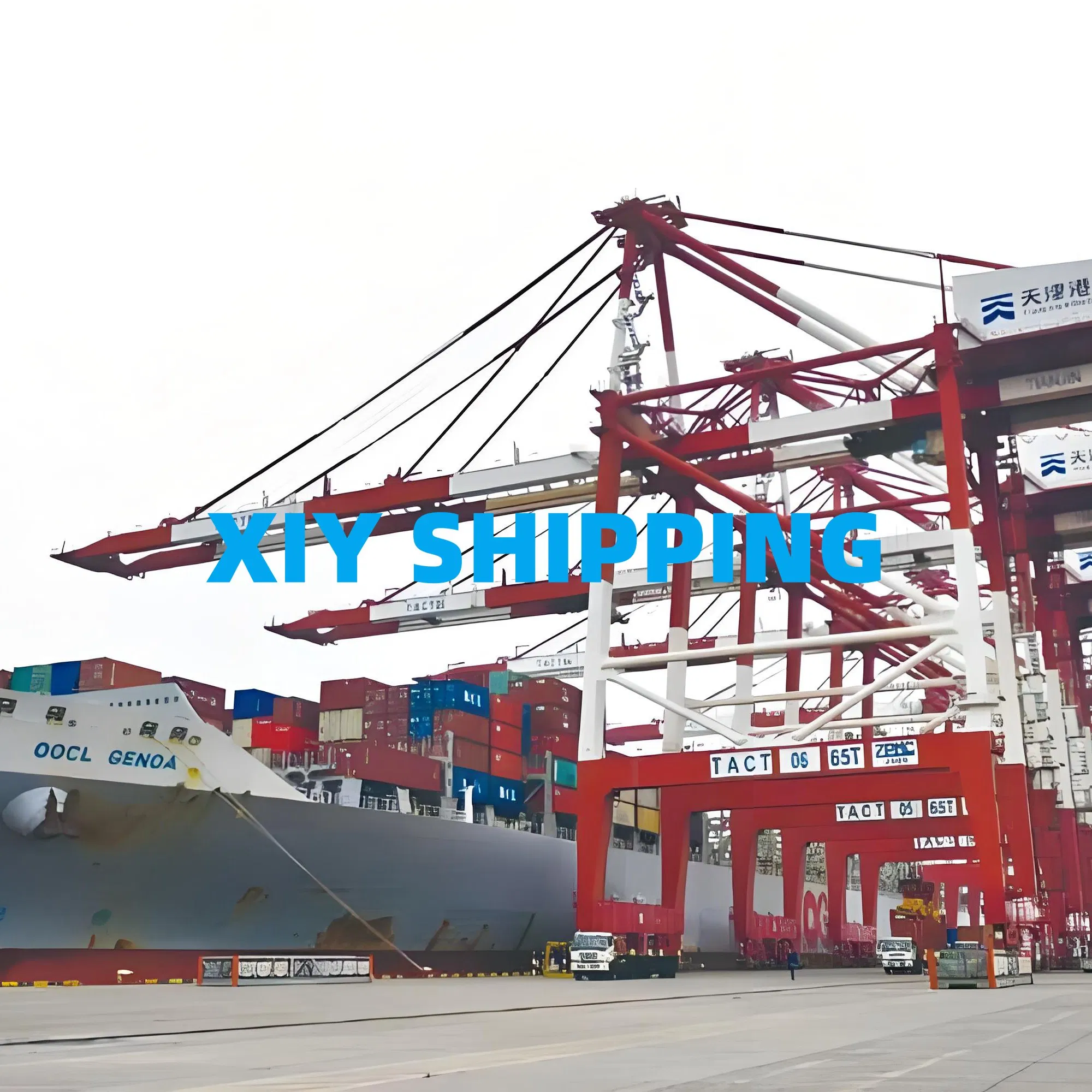 Ningbo Door to Door Shipping Freight to Miami Tampa USA