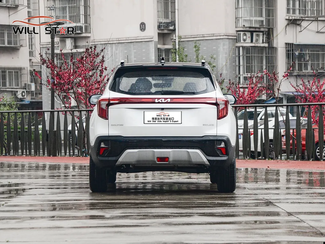 KIA Seltos Wheel Detail