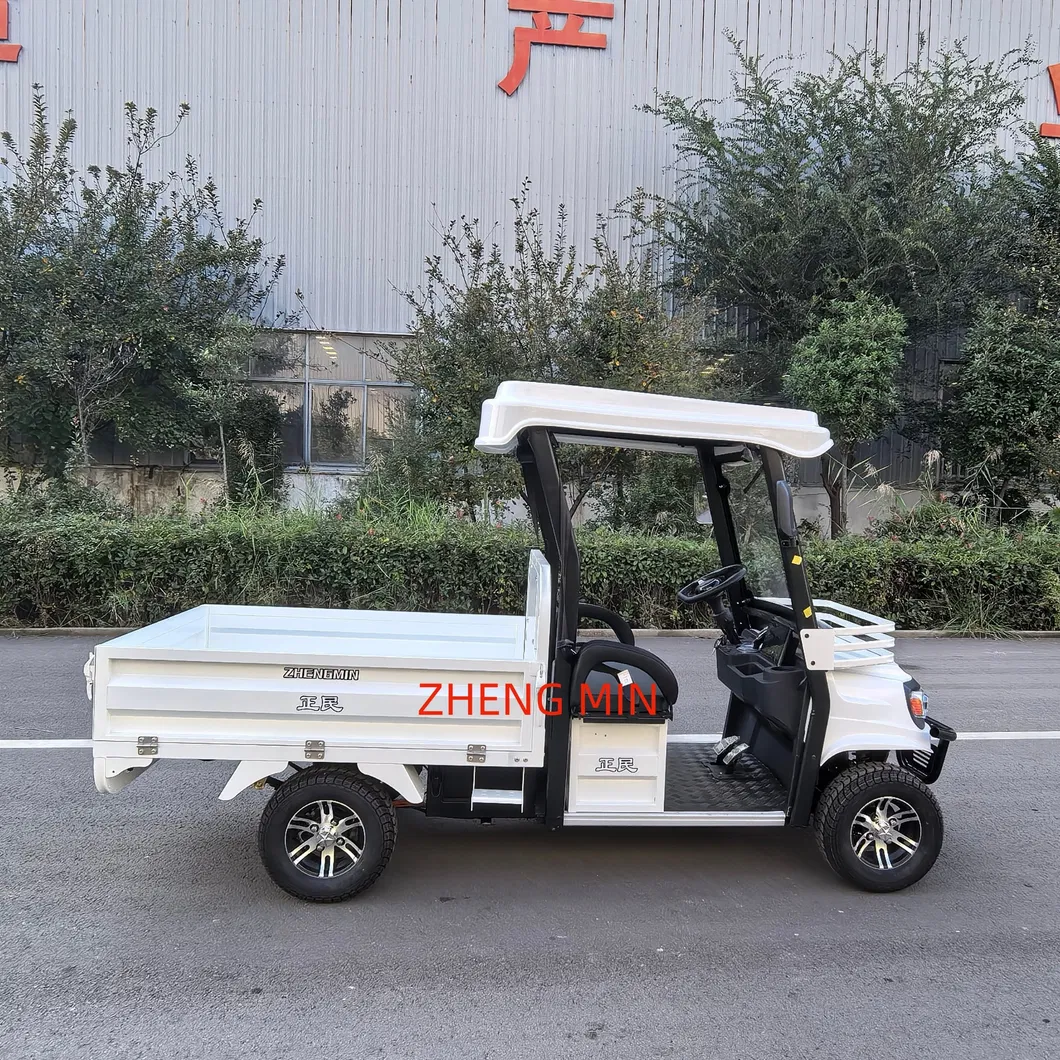 Electric Pickup Detail 7