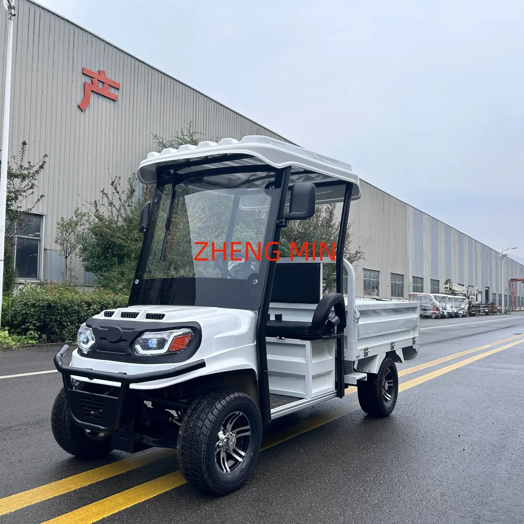 Electric Pickup Detail 8