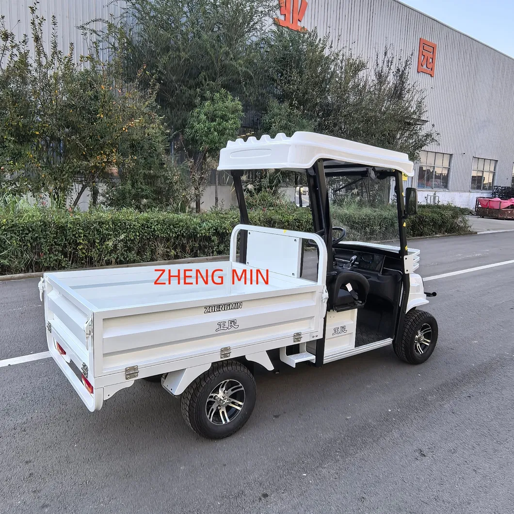 Electric Pickup Detail 6