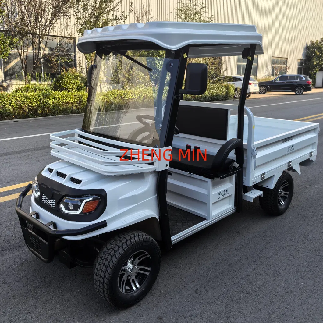 Electric Pickup Detail 2