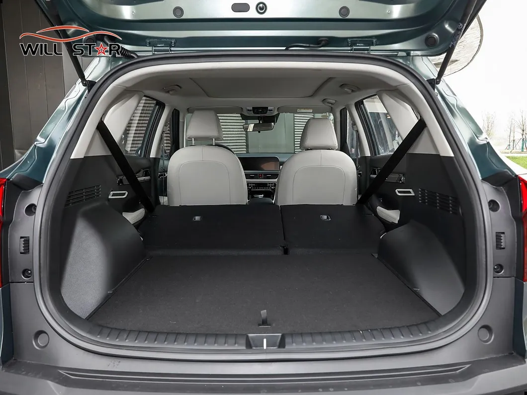 KIA Seltos Light Details