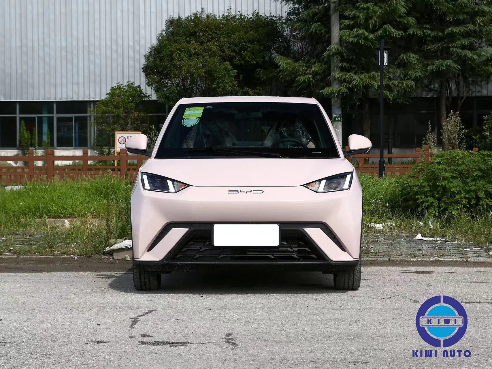 New Arrival Byd Seagull New Energy Electric Mini SUV EV High Speed Car Hatchback for Sale