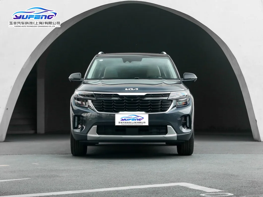 KIA Seltos Rear View