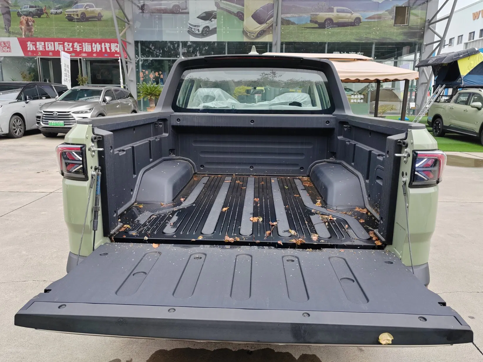 2024 New Geely Rd6 Pure Electric/EV 4X2 Double Cabin Pickup Truck