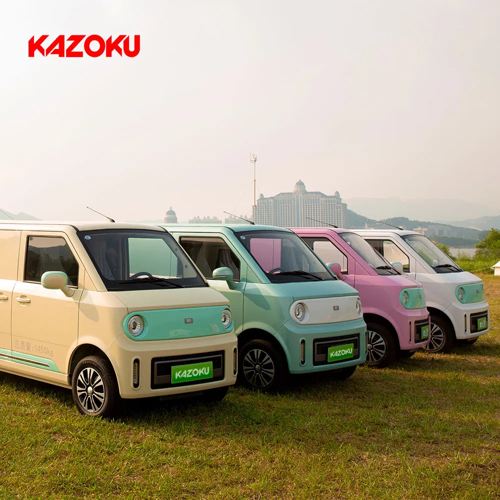 Brand Kazoku Electric Minivan for Carrying Goods City Delivery Adult Cargo Minivan
