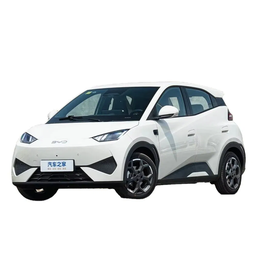 2025 High Quality Electric Byd Seagull Mini EV Car Long Range Vehicle The Popular Cars Loved by The Public