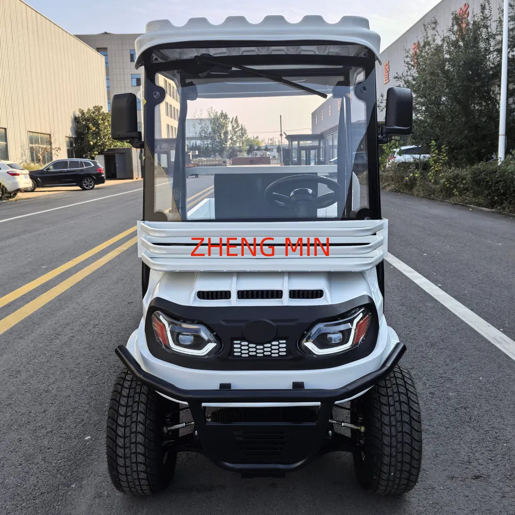 Electric Pickup Detail 1