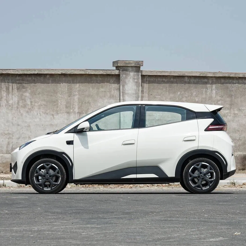 2025 High Quality Electric Byd Seagull Mini EV Car Long Range Vehicle The Popular Cars Loved by The Public