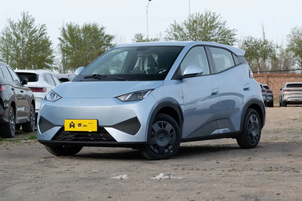 Used BYD Seagull Side View