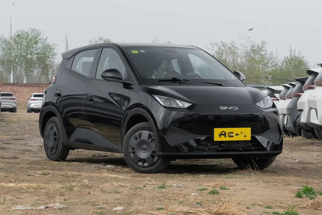 Used BYD Seagull Front View