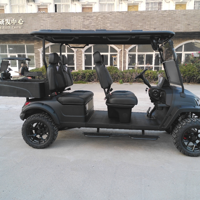 Bulk Purchase Electric Hunting Car 4X4 Drive for Two People and Battery Expansion Upgrade