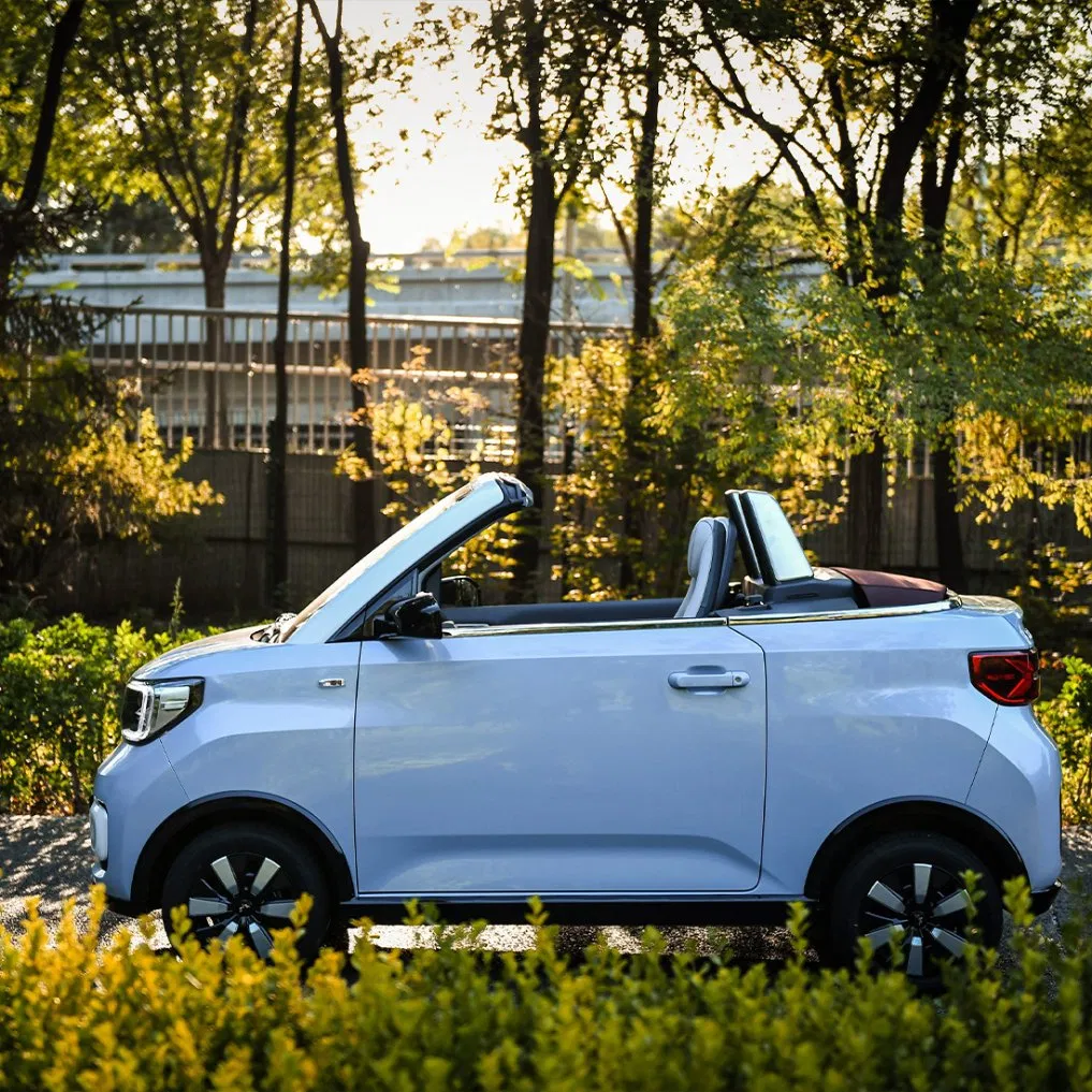 Best Selling Wulinghongguang Made in China Cabrio Convertible Cheapest Car
