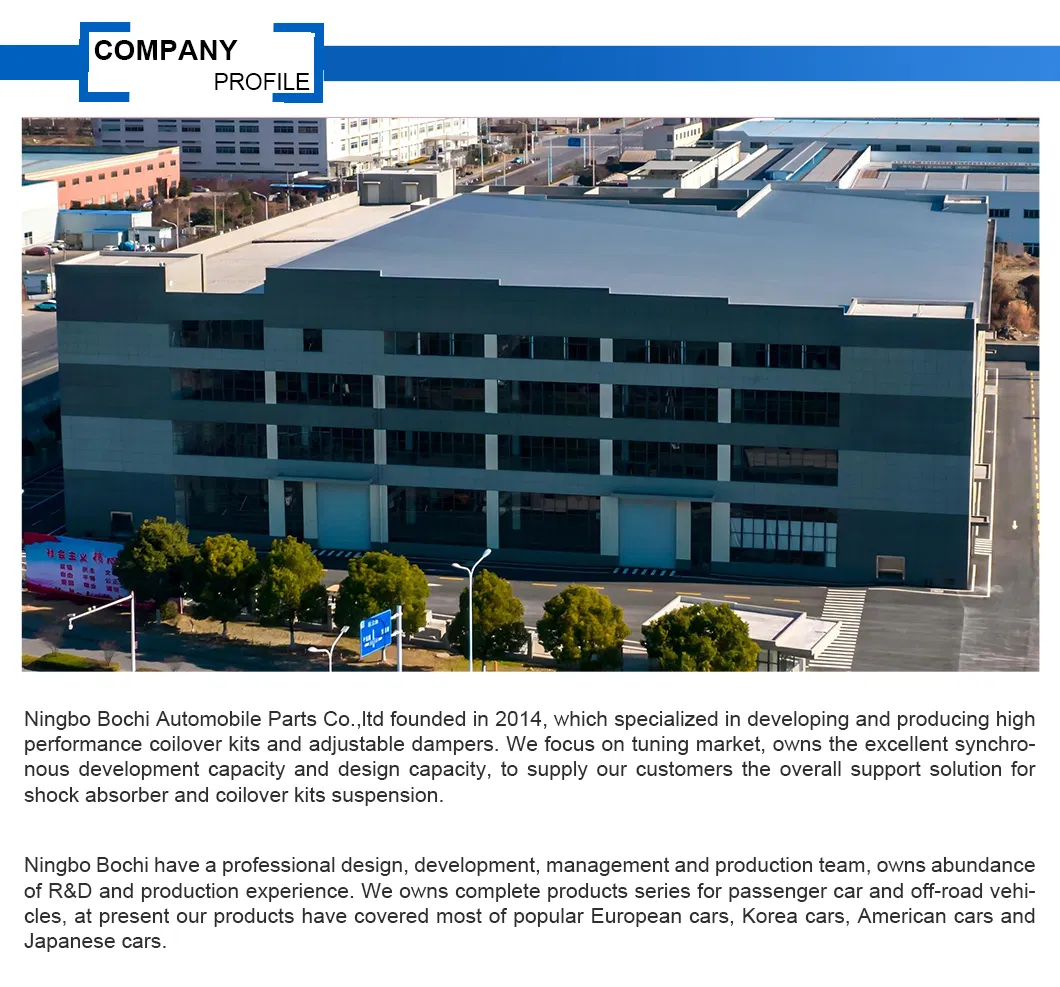 Coilover Kit Suspension Detail 3