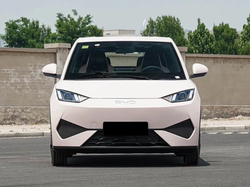 Byd Seagull Front View