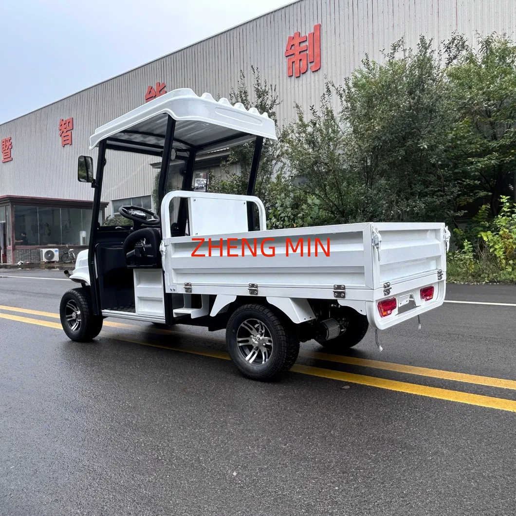 Electric Pickup Detail 11