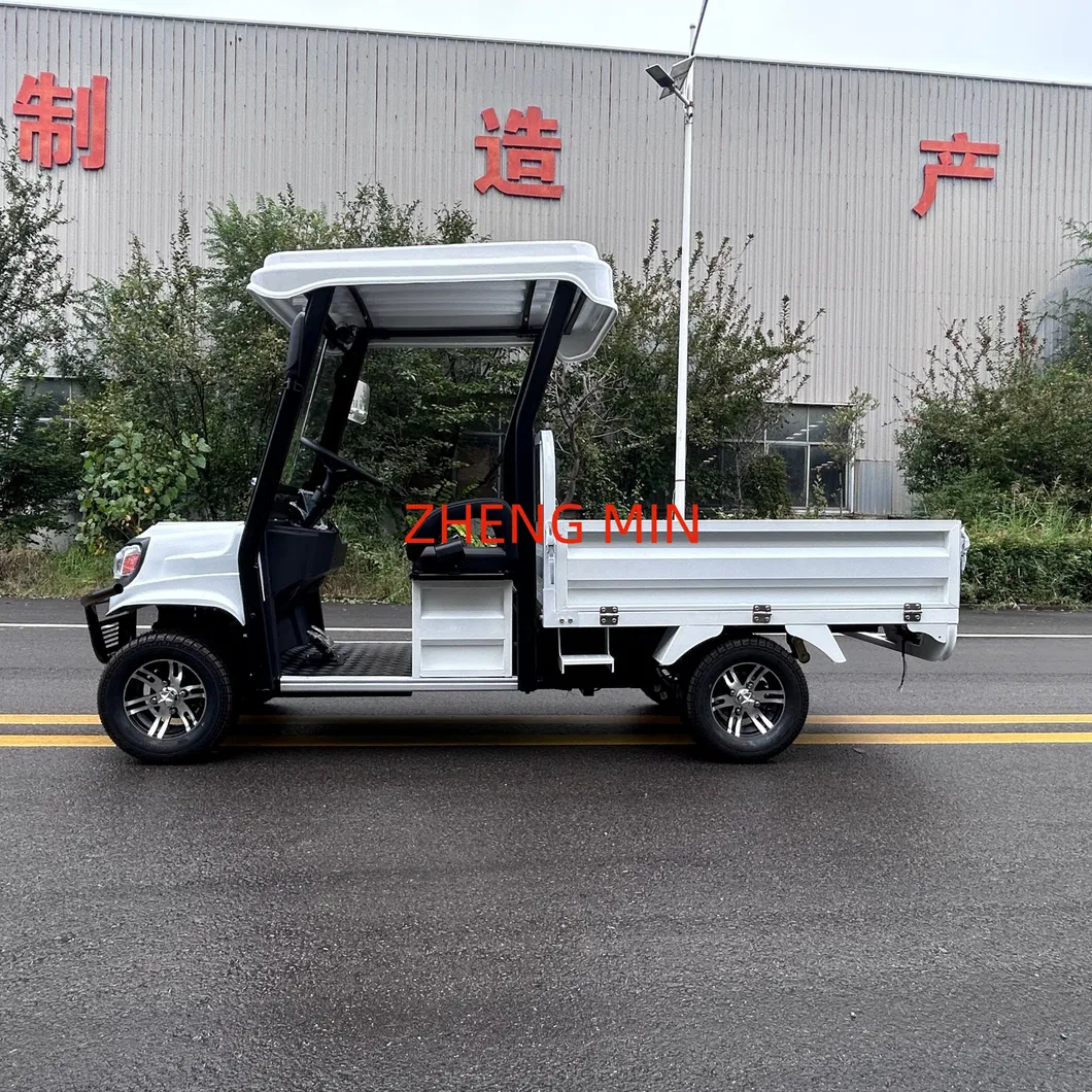 Electric Pickup Detail 3