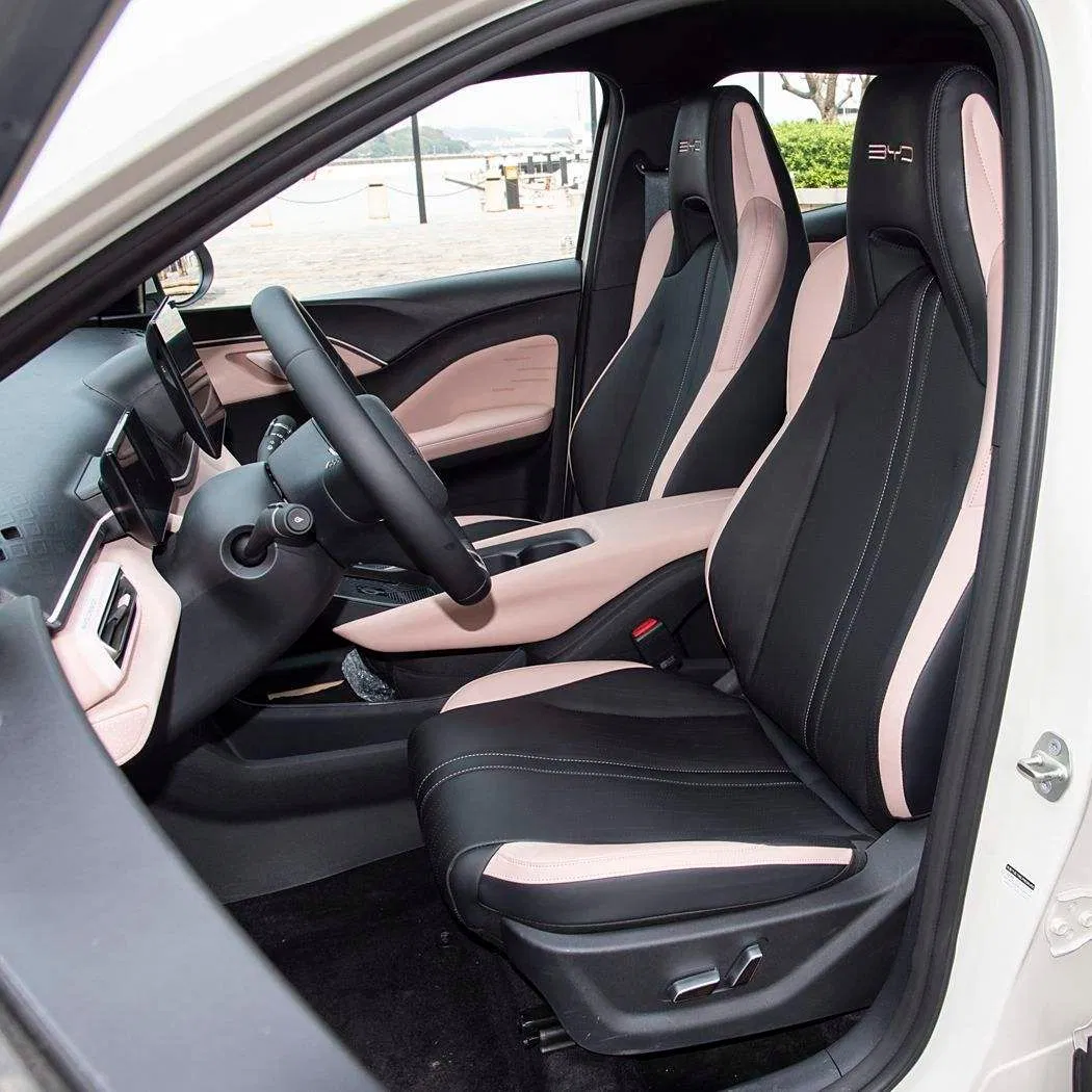 2025 High Quality Electric Byd Seagull Mini EV Car Long Range Vehicle The Popular Cars Loved by The Public