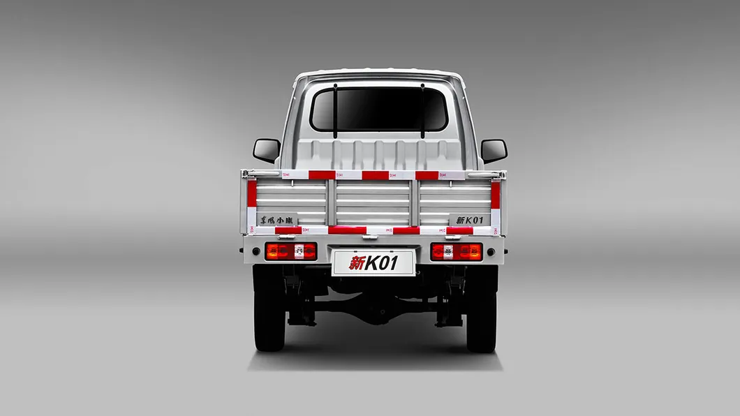 DFSK K01 Rear View