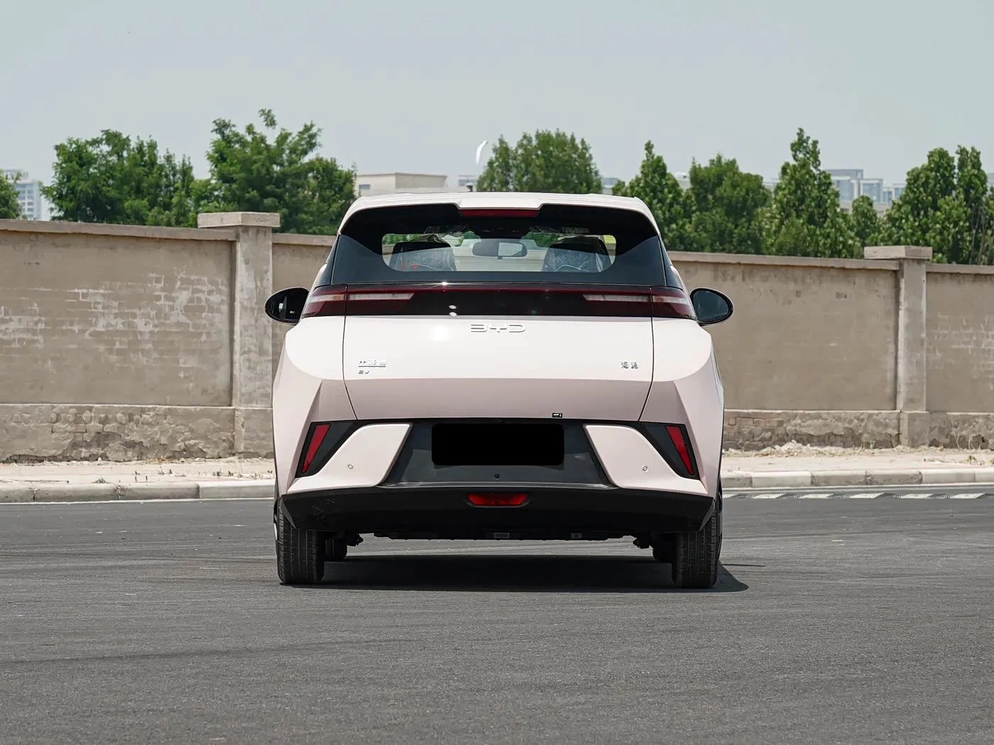 The Cute and Compact Five - Door Hatchback Byd Seagull