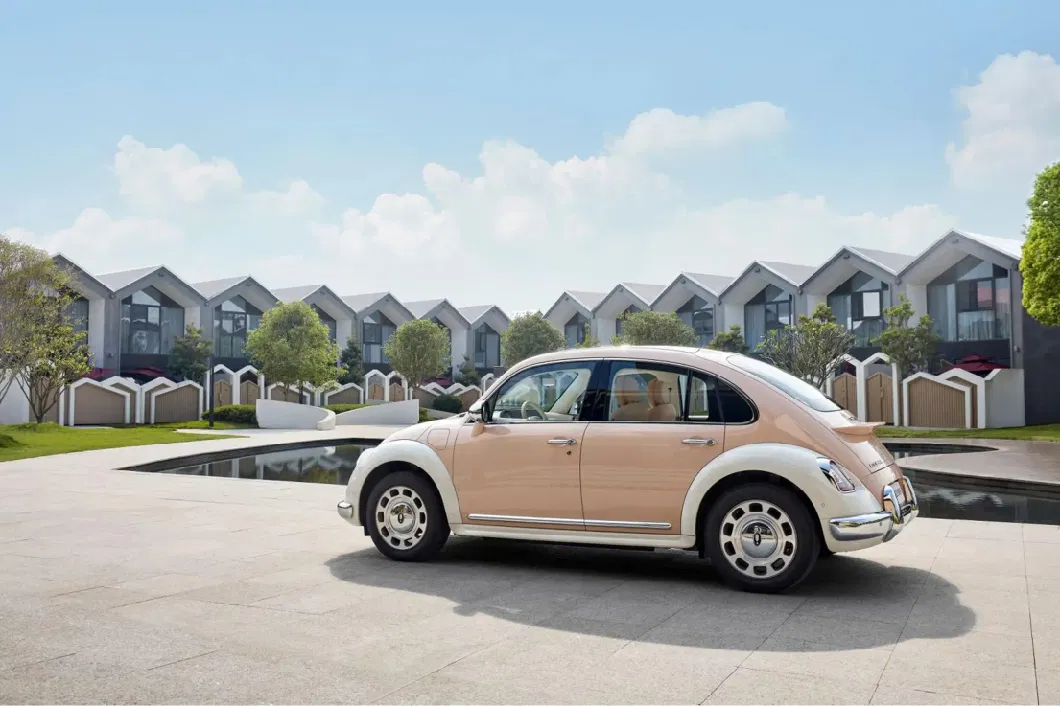 Spacious and Comfortable Ora Ballet 500km Cost-Effective Ora Electric Hatchback