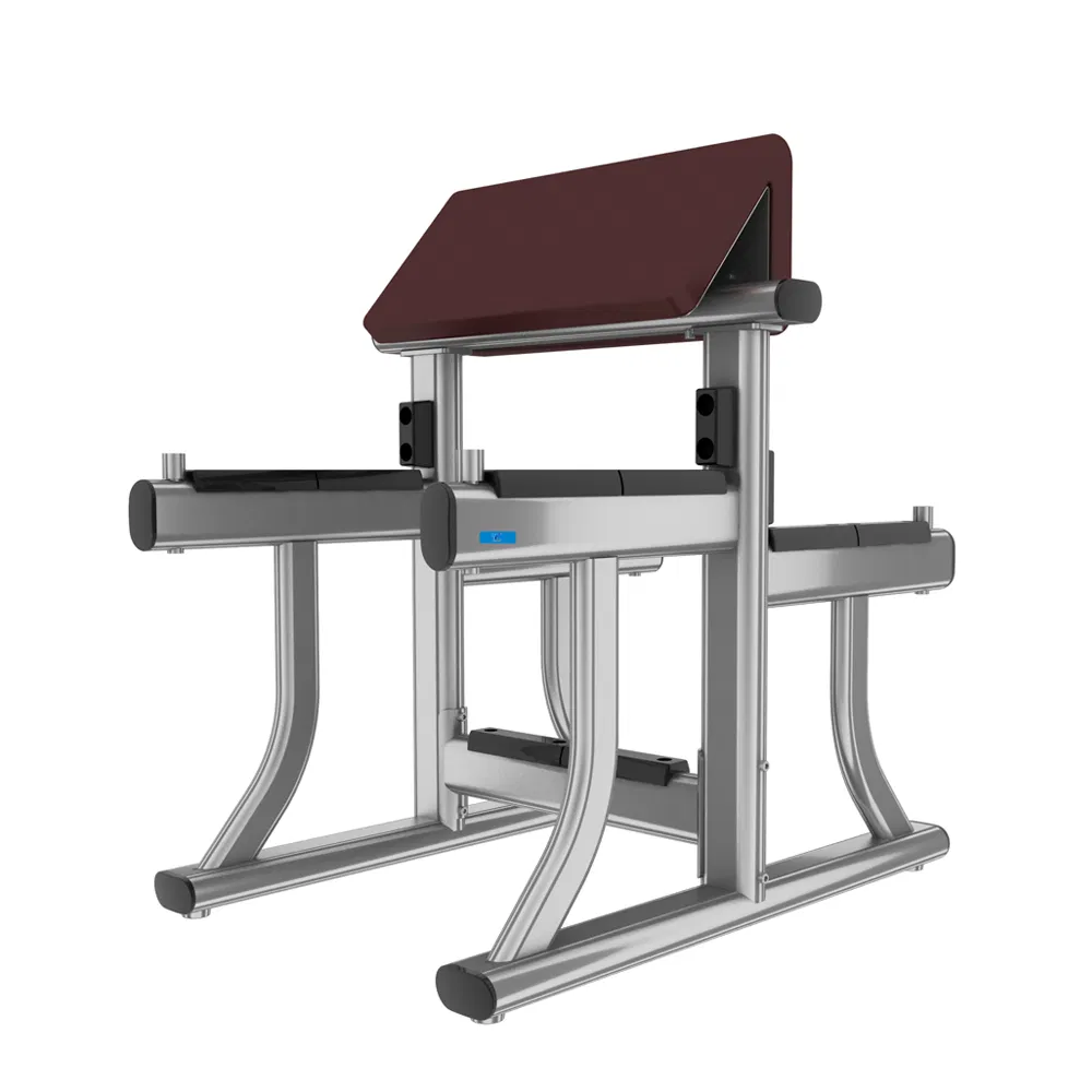 China Manufacturer Commercial Gym Equipment Strength Machine Cable Jungle/Crossover with CE/En957/TUV/SGS/OHSAS