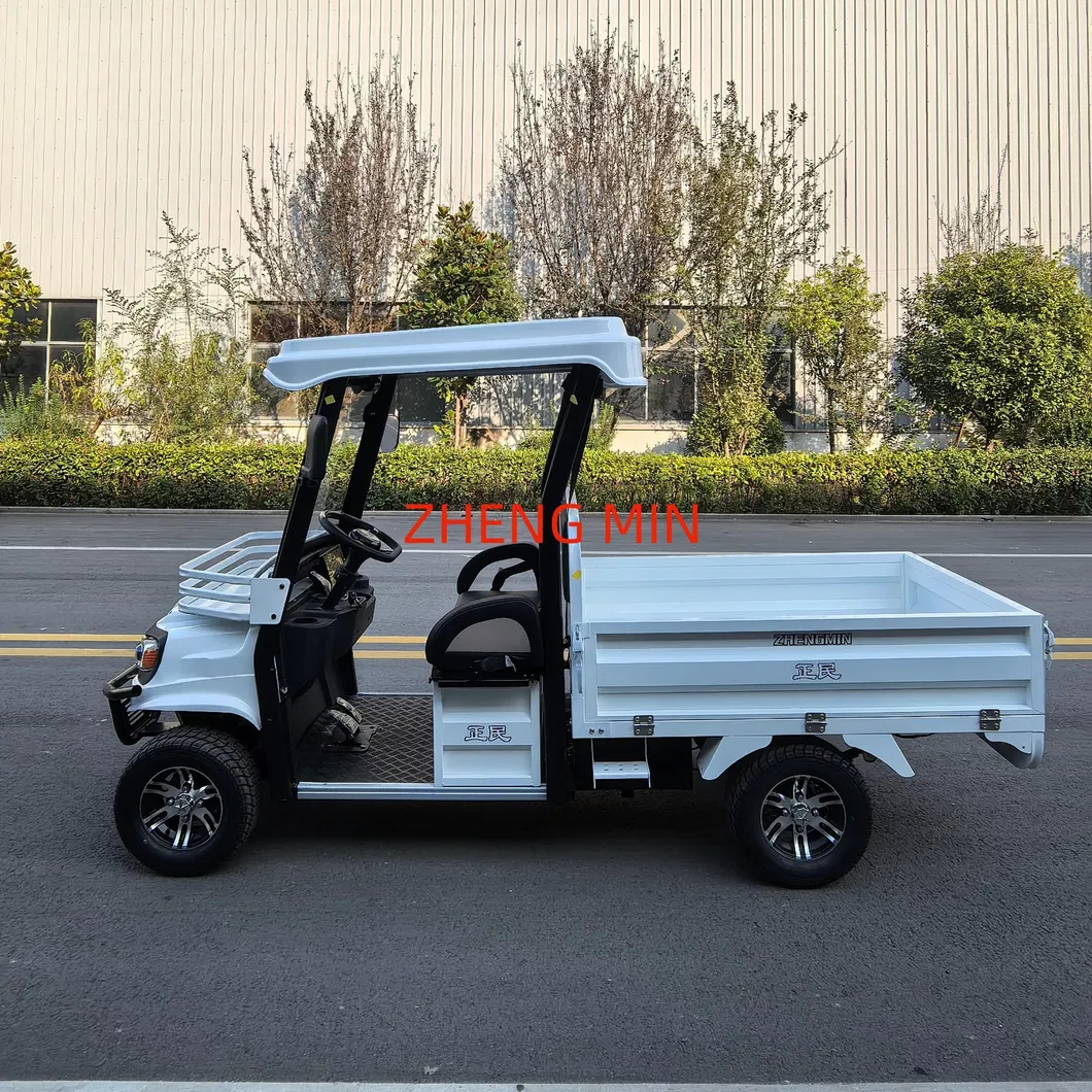 Electric Pickup Detail 9