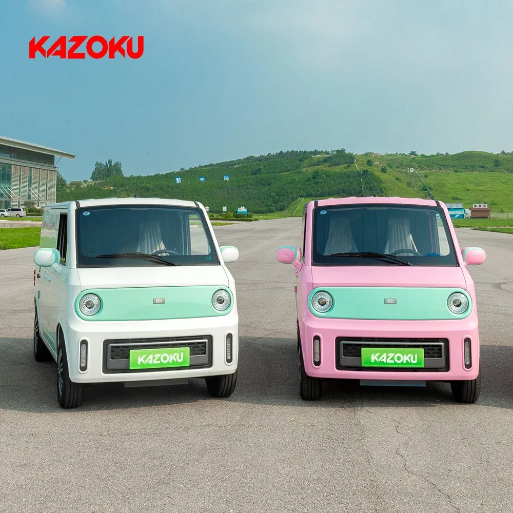 EU Certificate EEC Coc Minivan Made in China